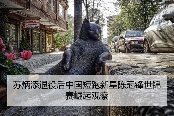 su-bing-tian-tui-yi-hou-zhong-guo-duan-pao-xin-xing-chen-guan-feng-shi-jin-sai-jue-qi-guan-cha-3-716.jpg